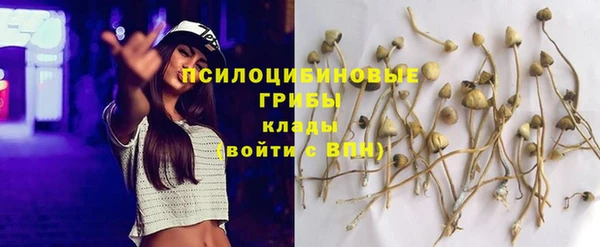 МДПВ Киренск